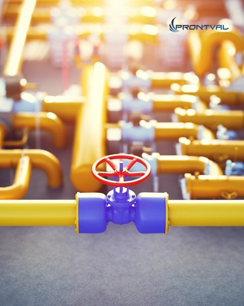 PRONTVAL & WEG: Energia e Desenvolvimento para o Nordeste